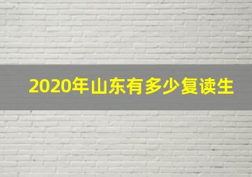 2020年山东有多少复读生