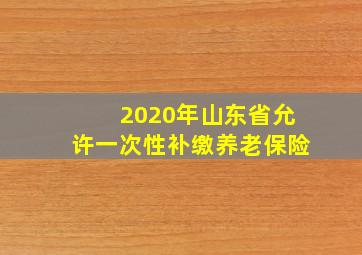 2020年山东省允许一次性补缴养老保险