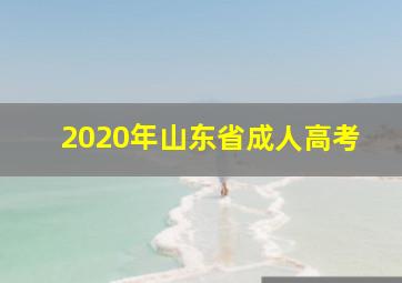 2020年山东省成人高考