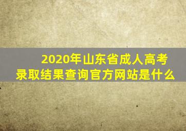 2020年山东省成人高考录取结果查询官方网站是什么