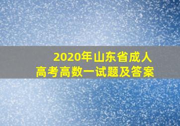 2020年山东省成人高考高数一试题及答案