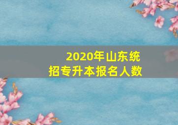 2020年山东统招专升本报名人数