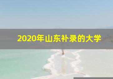 2020年山东补录的大学