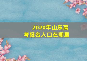 2020年山东高考报名入口在哪里