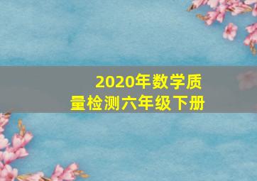 2020年数学质量检测六年级下册