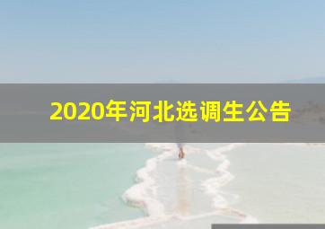 2020年河北选调生公告