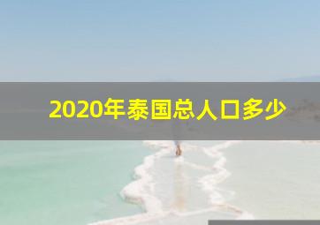 2020年泰国总人口多少