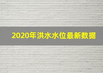 2020年洪水水位最新数据