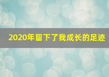 2020年留下了我成长的足迹