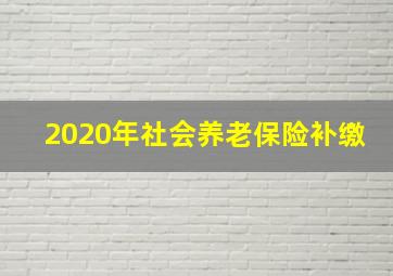 2020年社会养老保险补缴