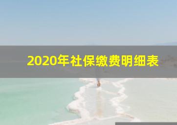 2020年社保缴费明细表