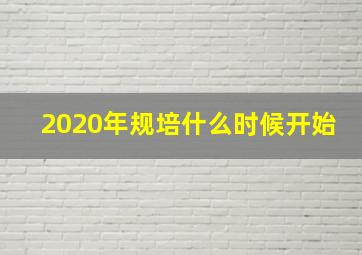 2020年规培什么时候开始