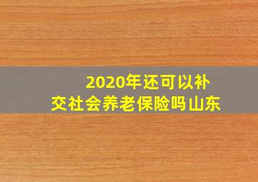 2020年还可以补交社会养老保险吗山东