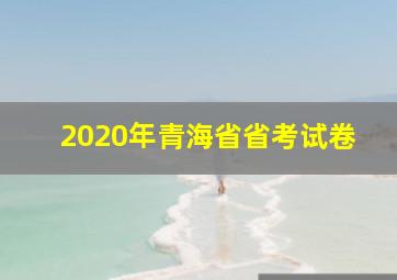 2020年青海省省考试卷