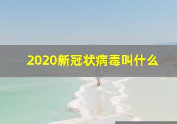 2020新冠状病毒叫什么