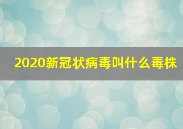 2020新冠状病毒叫什么毒株