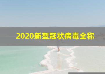 2020新型冠状病毒全称