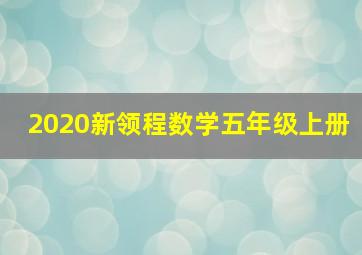 2020新领程数学五年级上册