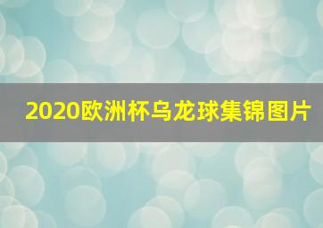 2020欧洲杯乌龙球集锦图片