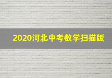 2020河北中考数学扫描版