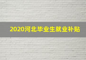 2020河北毕业生就业补贴