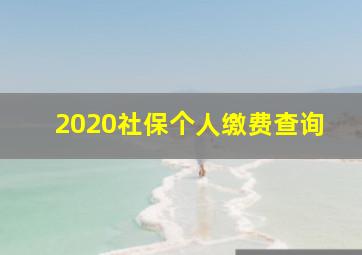 2020社保个人缴费查询