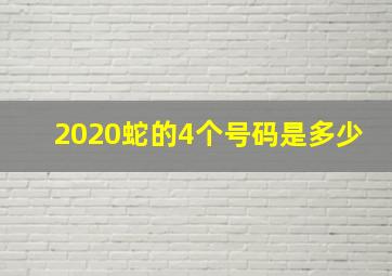 2020蛇的4个号码是多少