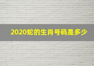 2020蛇的生肖号码是多少