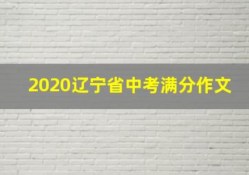 2020辽宁省中考满分作文