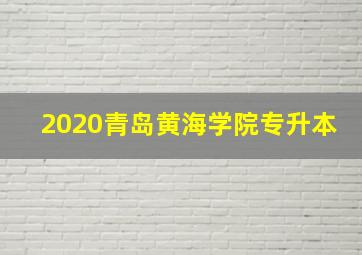 2020青岛黄海学院专升本