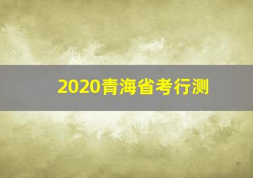 2020青海省考行测