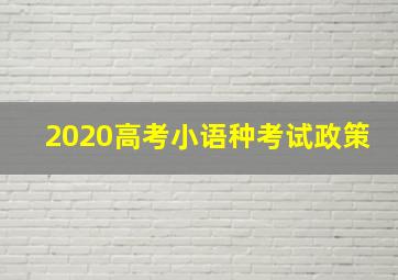 2020高考小语种考试政策