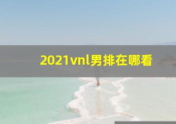 2021vnl男排在哪看