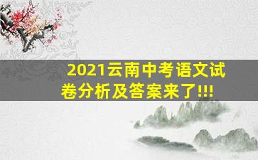 2021云南中考语文试卷分析及答案来了!!!