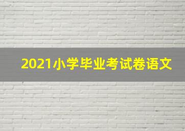 2021小学毕业考试卷语文