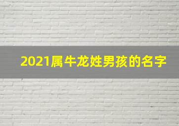 2021属牛龙姓男孩的名字