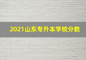 2021山东专升本学校分数