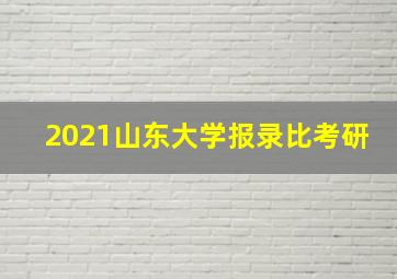 2021山东大学报录比考研