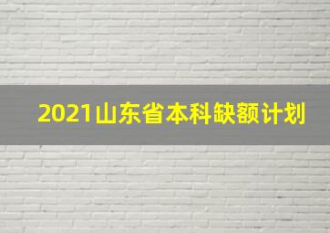 2021山东省本科缺额计划