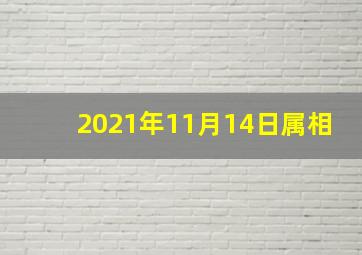 2021年11月14日属相