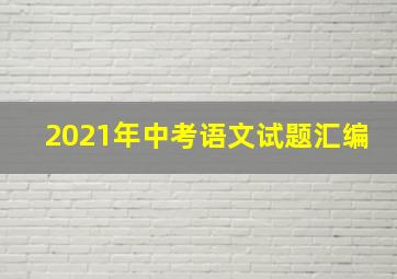 2021年中考语文试题汇编