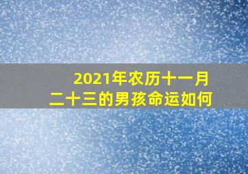 2021年农历十一月二十三的男孩命运如何