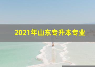 2021年山东专升本专业