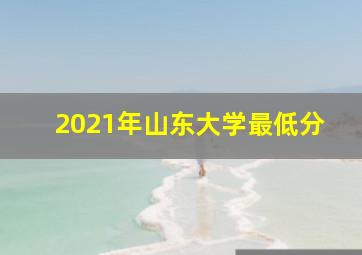 2021年山东大学最低分