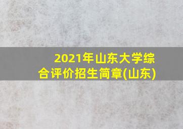 2021年山东大学综合评价招生简章(山东)