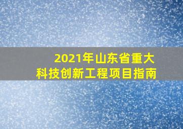 2021年山东省重大科技创新工程项目指南