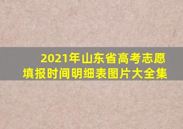 2021年山东省高考志愿填报时间明细表图片大全集