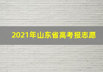 2021年山东省高考报志愿