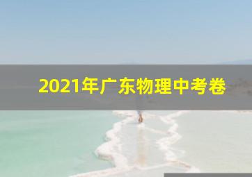 2021年广东物理中考卷