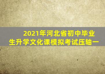 2021年河北省初中毕业生升学文化课模拟考试压轴一